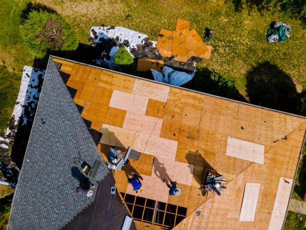 Best Roof Gutter Cleaning  in Leonville, LA